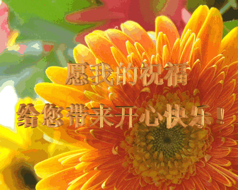 九九重阳节！最美好的重阳祝福送给家人，祝福天下父母健康长寿！