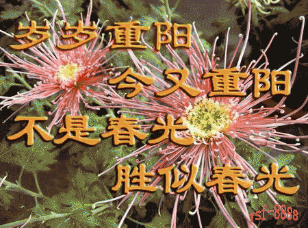 九九重阳节！最美好的重阳祝福送给家人，祝福天下父母健康长寿！