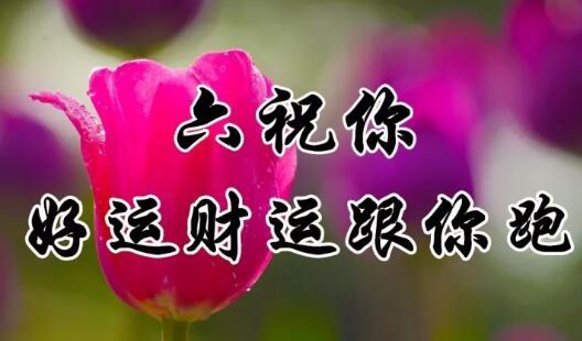九九重阳节！最美好的重阳祝福送给家人，祝福天下父母健康长寿！