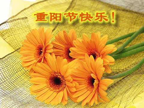 九九重阳节！最美好的重阳祝福送给家人，祝福天下父母健康长寿！