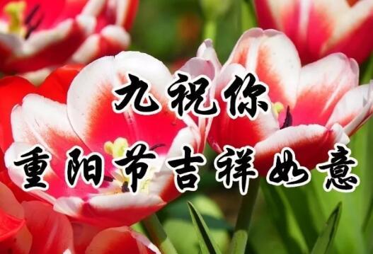 九九重阳节！最美好的重阳祝福送给家人，祝福天下父母健康长寿！