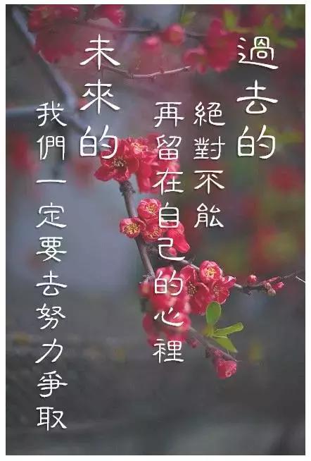 感悟人生哲理句子美文(女人心态阳光的句子)