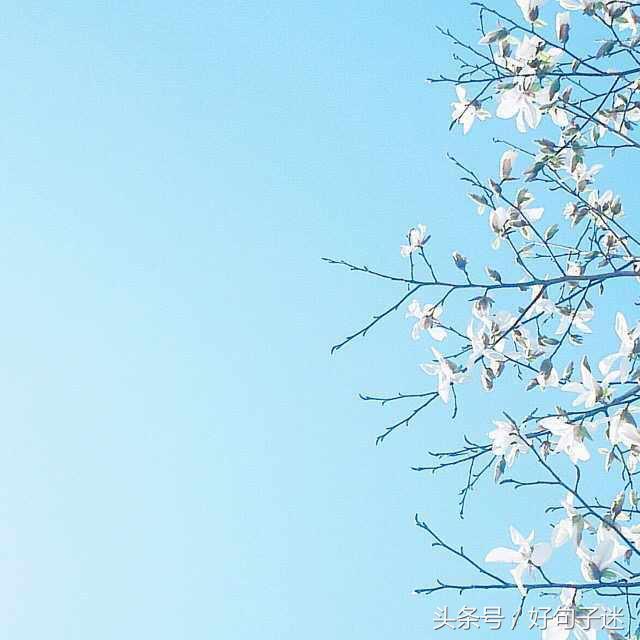 朋友圈句子大全唯美 朋友圈句子大全唯美