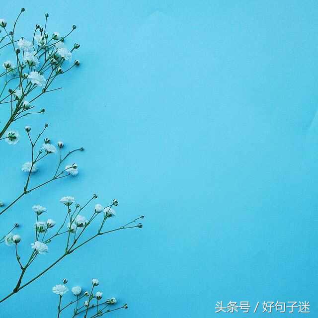 朋友圈句子大全唯美 朋友圈句子大全唯美