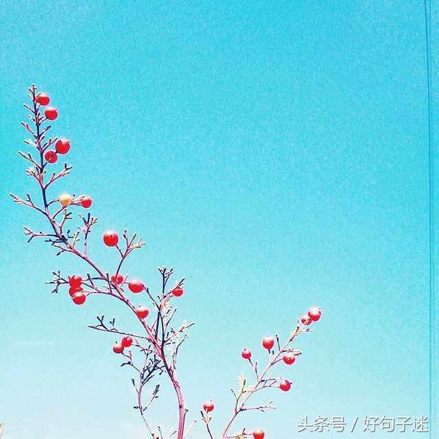 朋友圈句子大全唯美 朋友圈句子大全唯美