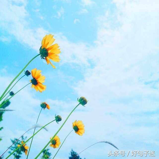 朋友圈句子大全唯美 朋友圈句子大全唯美