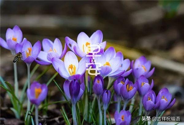 冬天早安优美的语句