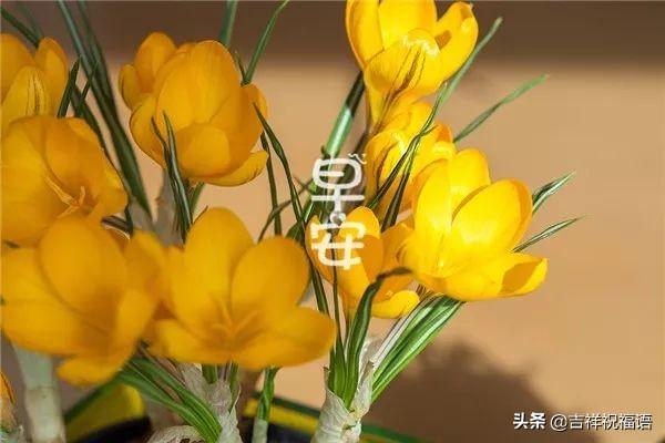 冬天早安优美的语句
