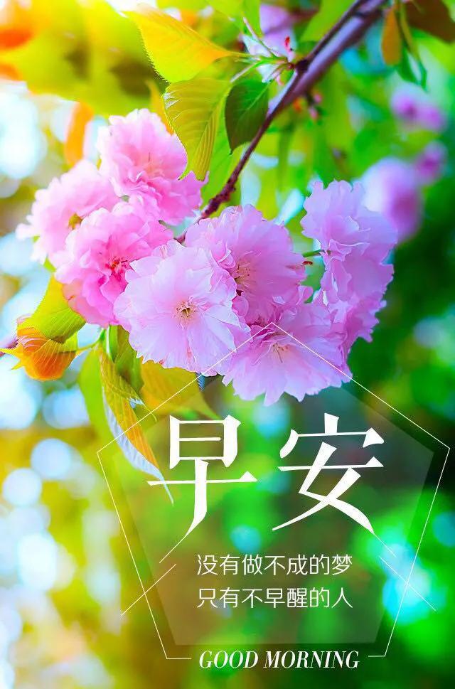 「2021.06.15」早安心语,正能量阳光语录句子,创意早上好问候语