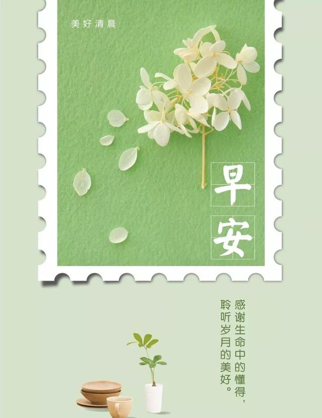 「2021.06.15」早安心语,正能量阳光语录句子,创意早上好问候语
