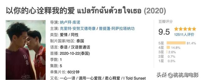 9.5分的《以你的心诠释我的爱》,会是今年泰剧天花板么?