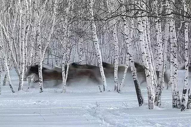 描写雪景的美文美句 描写雪景的美文美句