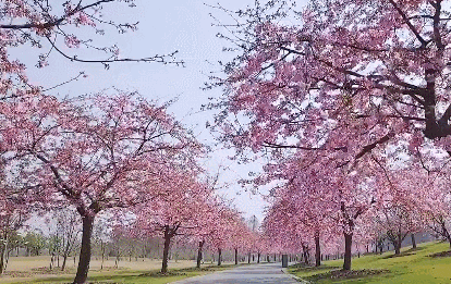 描写季节的句子40字 描写季节的句子40字