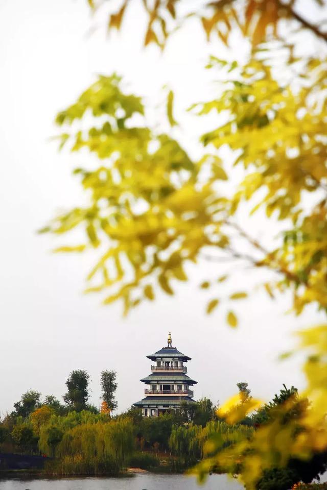 秋冬季节变幻的句子 秋冬季节变幻的句子