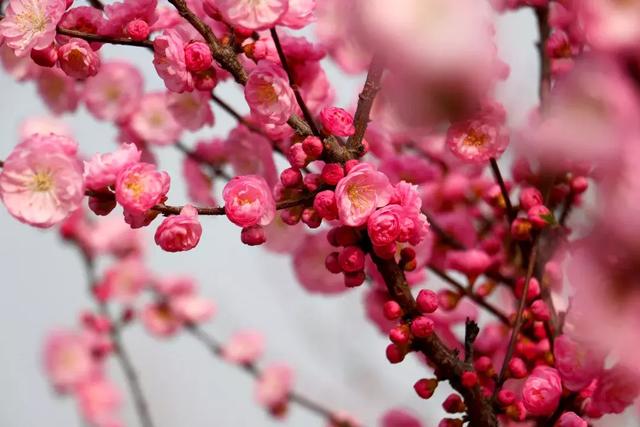 秋冬季节变幻的句子 秋冬季节变幻的句子