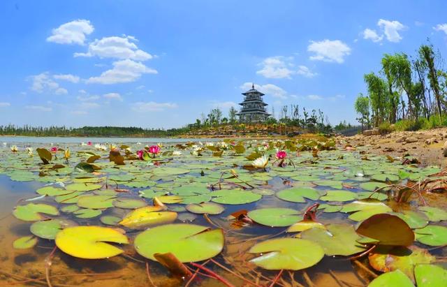 秋冬季节变幻的句子 秋冬季节变幻的句子