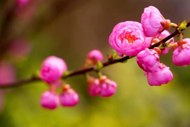 秋冬季节变幻的句子 秋冬季节变幻的句子
