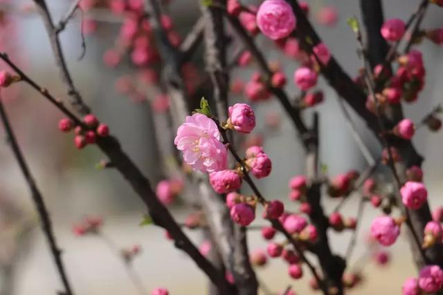 秋冬季节变幻的句子 秋冬季节变幻的句子