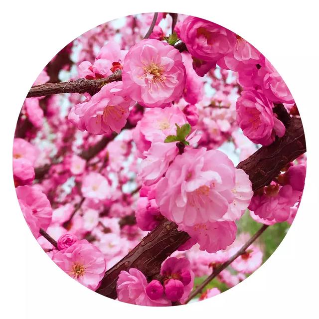 秋冬季节变幻的句子 秋冬季节变幻的句子