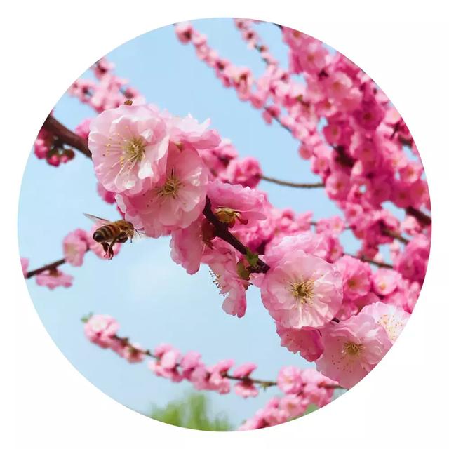 秋冬季节变幻的句子 秋冬季节变幻的句子