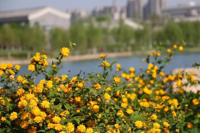 秋冬季节变幻的句子 秋冬季节变幻的句子