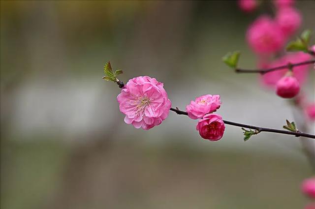 描写季节的句子40字