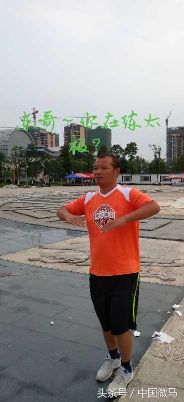 端午节感恩父母的句子