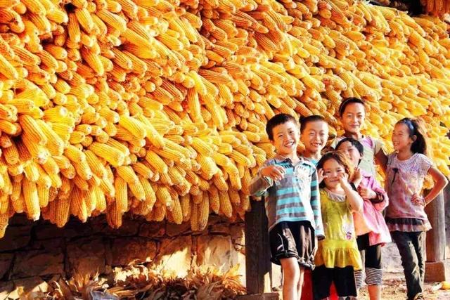 丰收的句子发朋友圈 丰收的句子发朋友圈