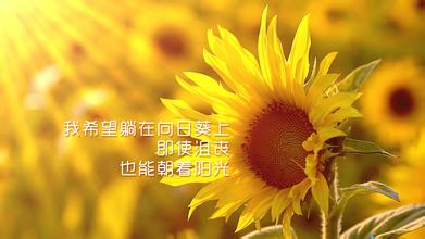 高考正能量励志图片_(高三加油唯美图片)
