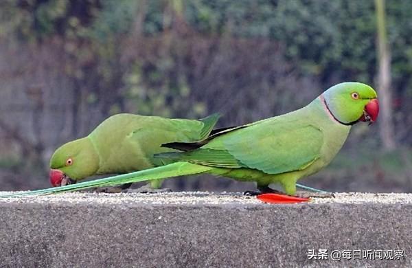 经典小故事及感悟 经典小故事及感悟
