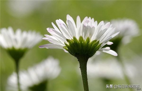 经典小故事及感悟 经典小故事及感悟
