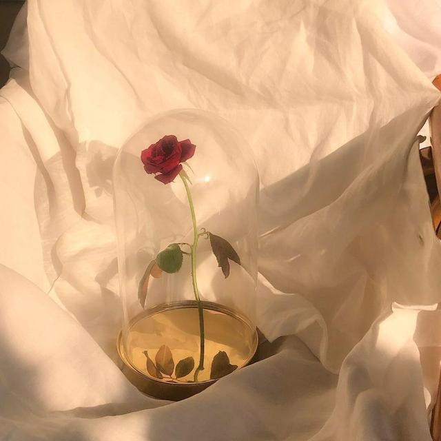 励志句子学习