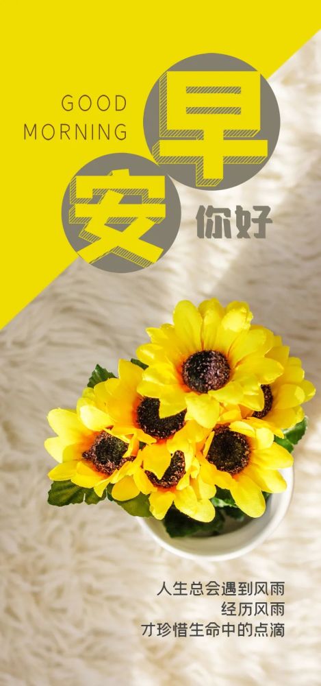 关于目标的励志短句_(达成目标励志的句子)