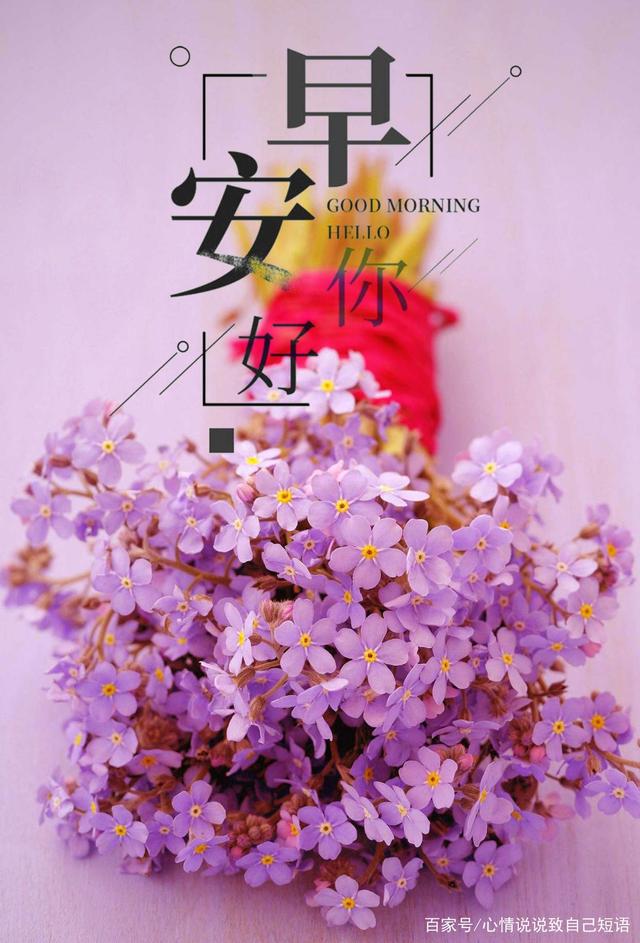 女性正能量朋友圈说说(女人努力正能量的句子)