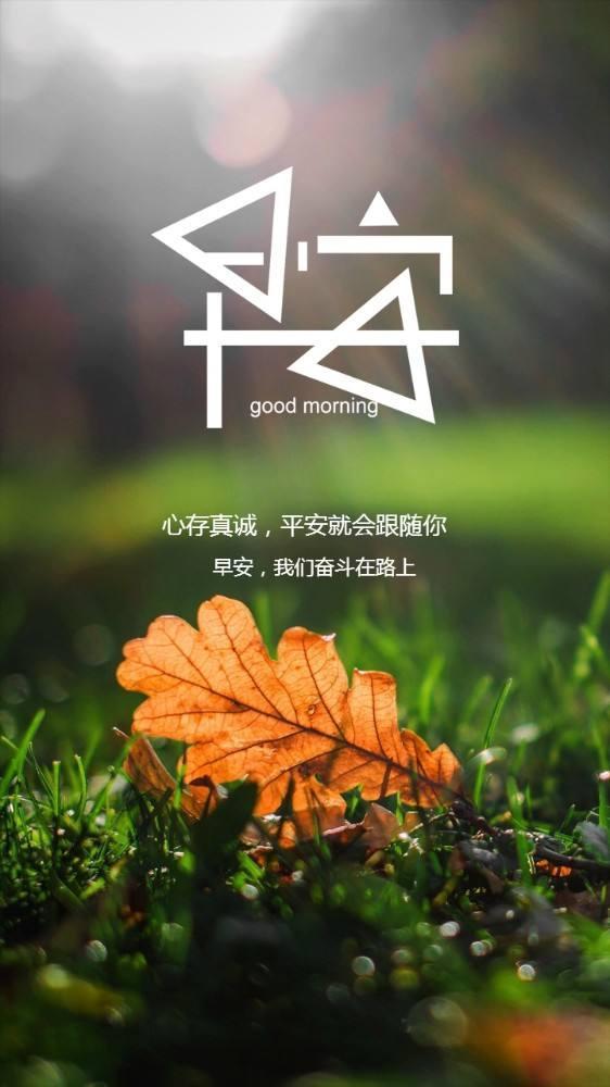 女性正能量朋友圈说说(女人努力正能量的句子)