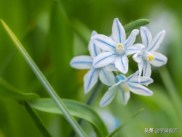 优美励志句子摘抄