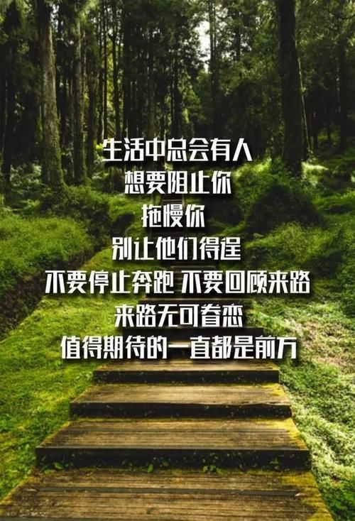 给学生励志语录经典长句_(励志努力句子唯美简短)