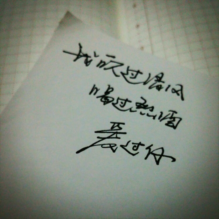 优美句子大全20字_(优美词语)