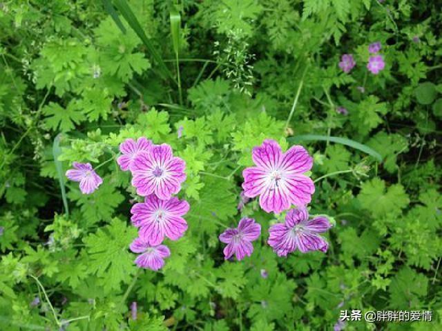 生活如此美好朋友圈