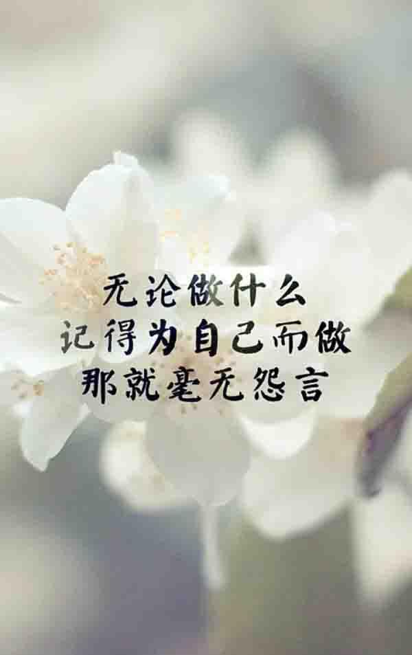 最新的励志图片带字(致自己一句话励志唯美)