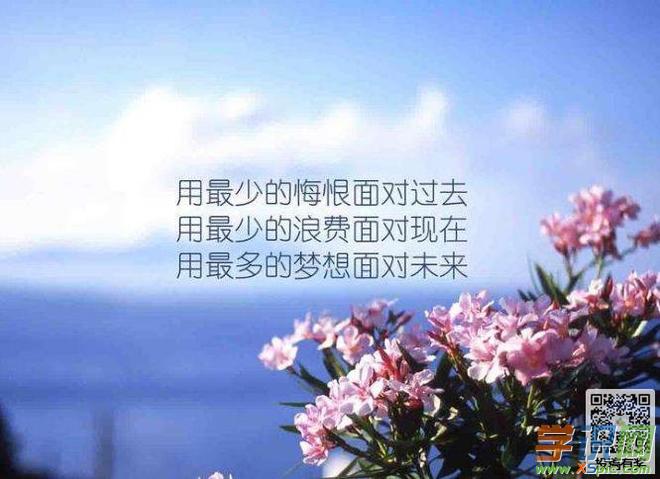 工作中的正能量句子(心灵鸡汤工作励志语录)