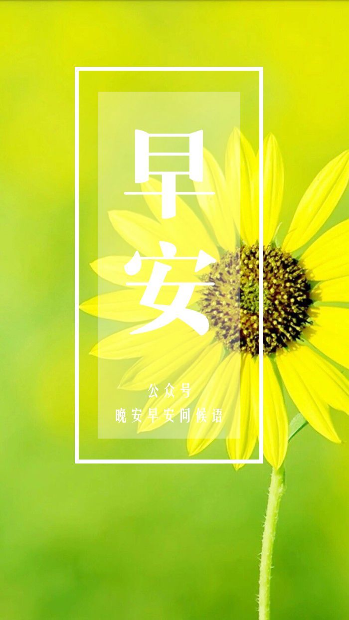 每日早安问候语_(早安最美一句话)
