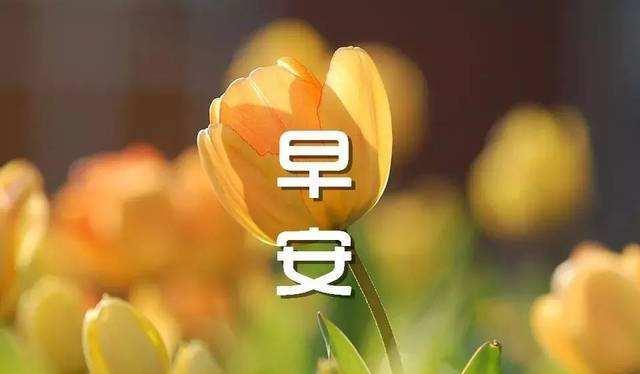 每日早安问候语_(早安最美一句话)