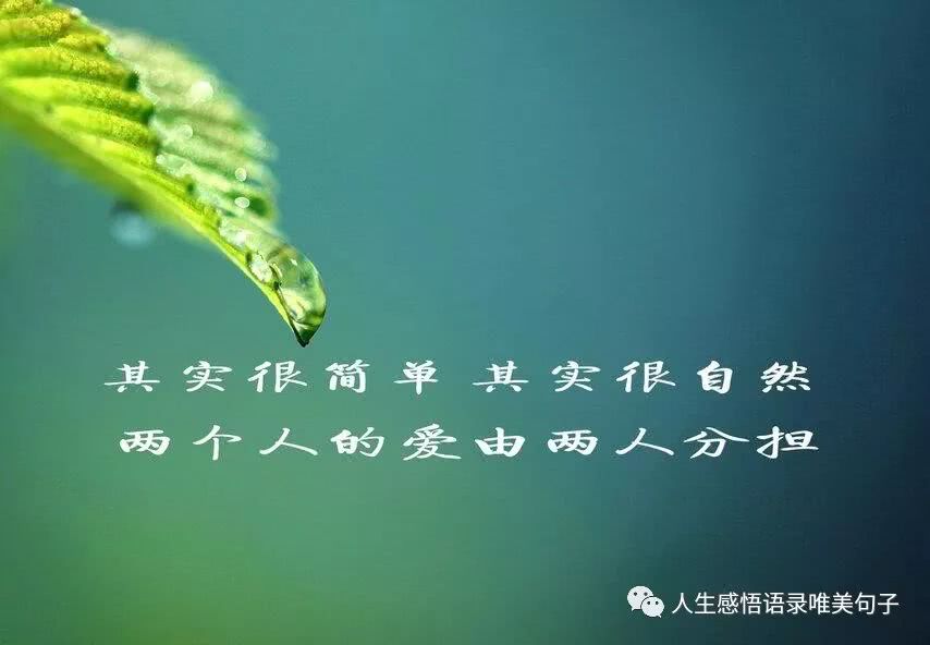 销售正能量的句子经典语句(2020销售激励话语正能量)