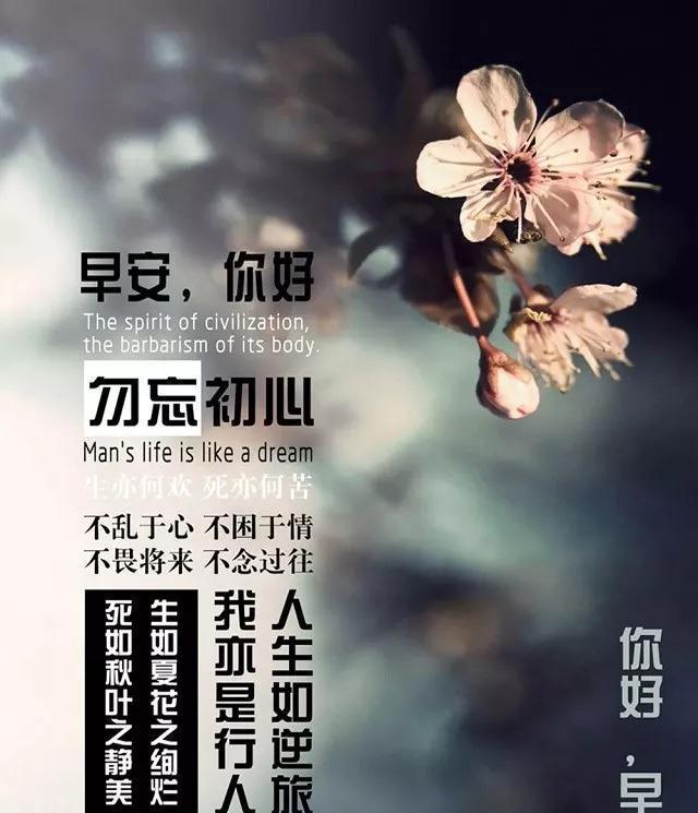 人生路上的正能量短句【最好心态的一句话】