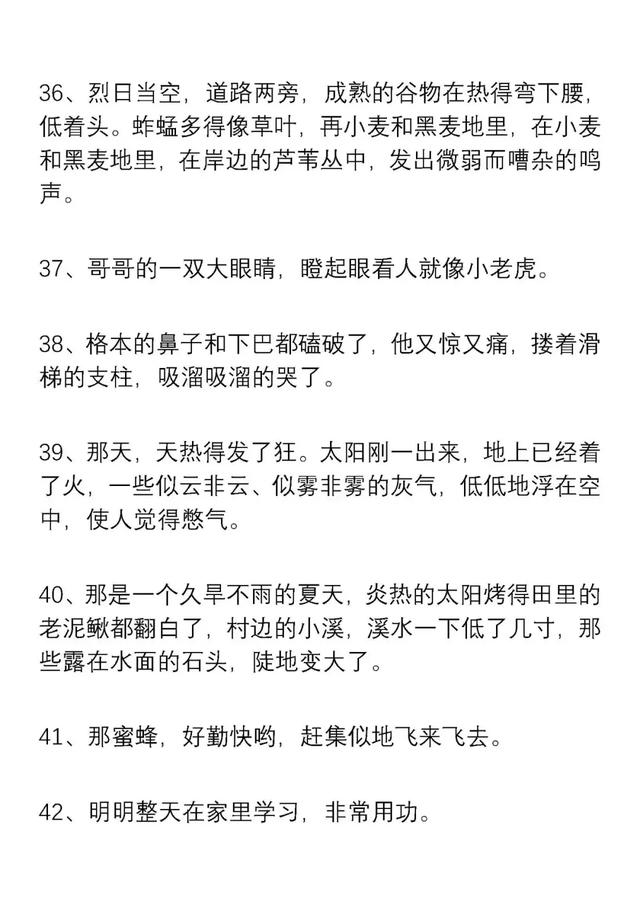 100个好词50个好句