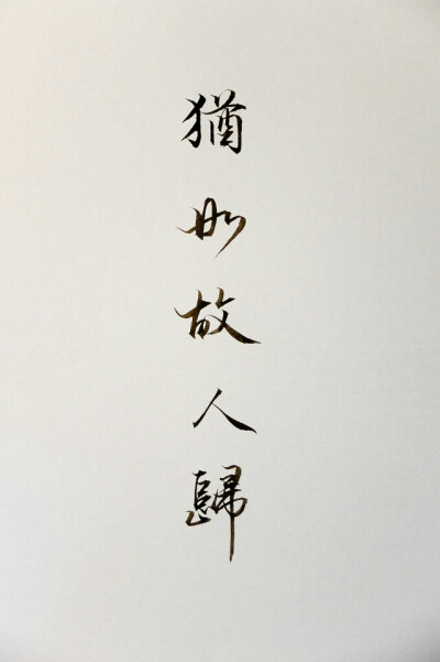 励志句子短句古风【励志句子大全正能量】