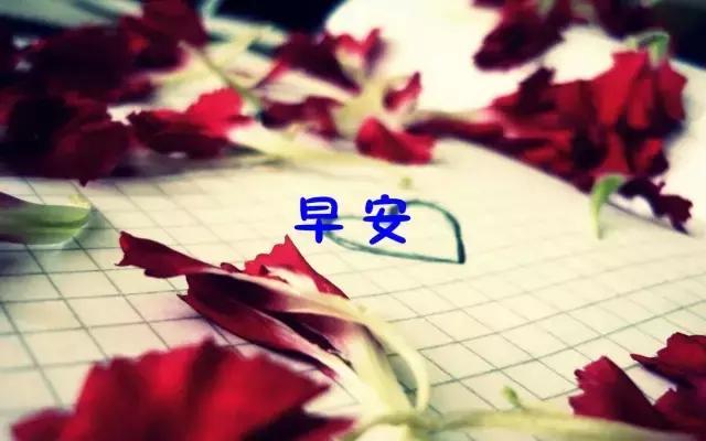 女性励志句子霸气