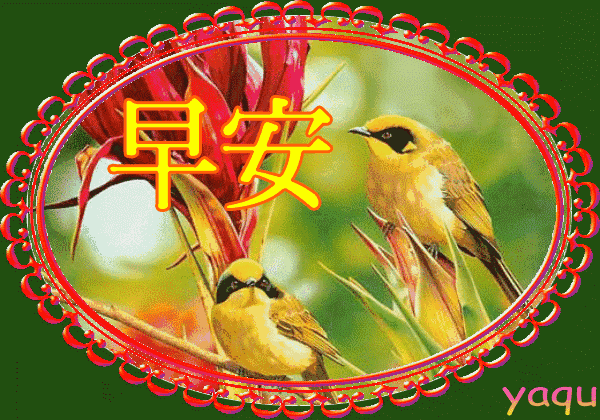 女性励志句子霸气