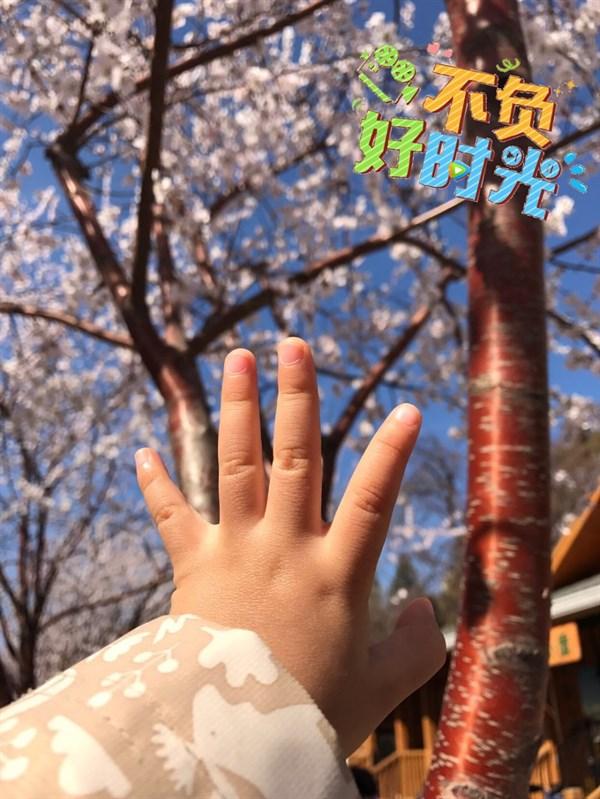 励志句子霸气